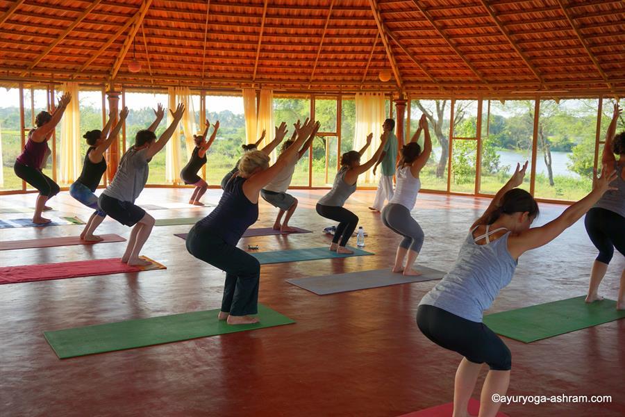 Yoga India (7)